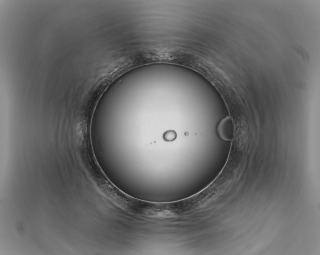 X0000112480747200908241254