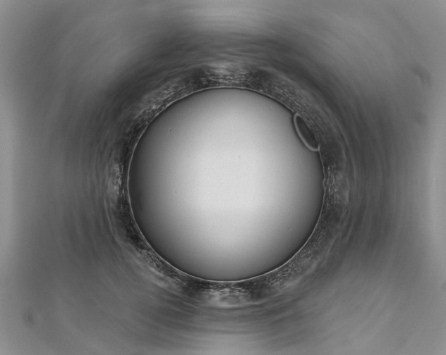 X0000112480752200908241254