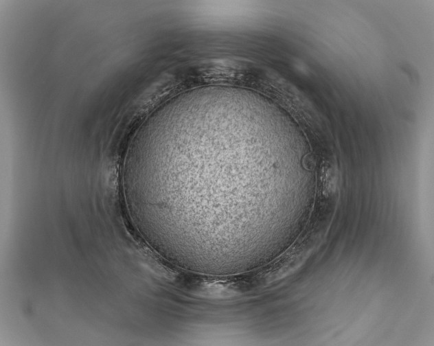X0000112480753200908241254