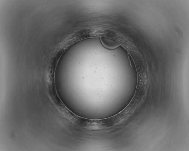 X0000112480755200908241254