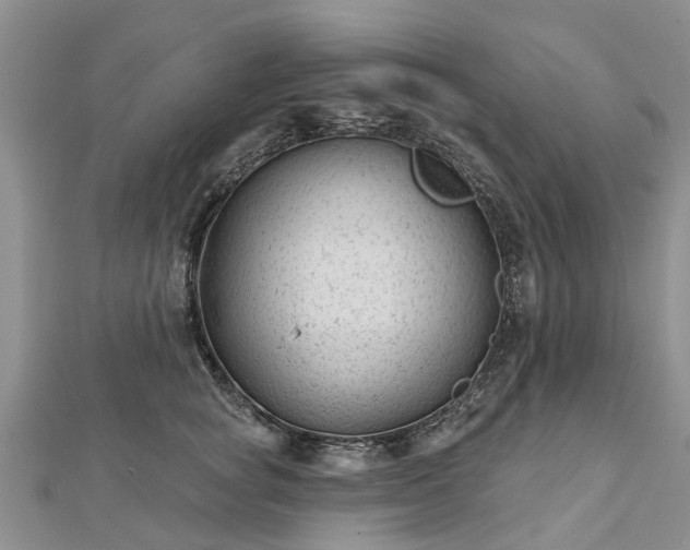 X0000112480757200908241254