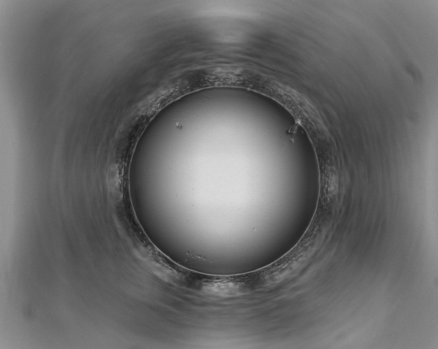 X0000112480759200908241254