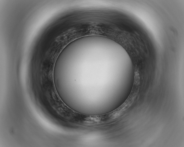 X0000112480765200908241254