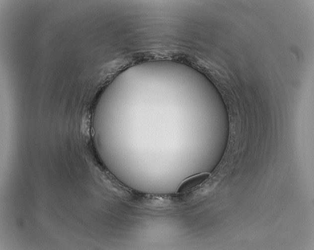 X0000112480768200908241254
