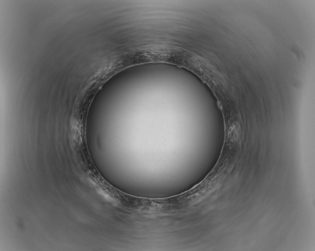 X0000112480772200908241254