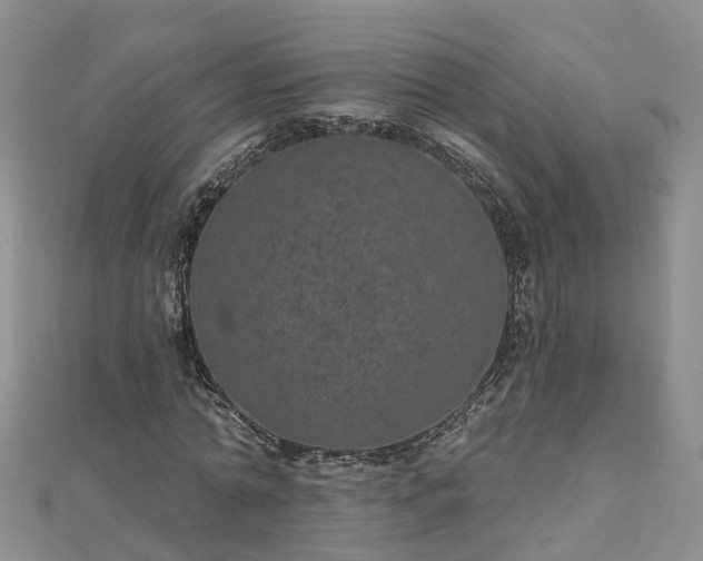 X0000112480774200908241253