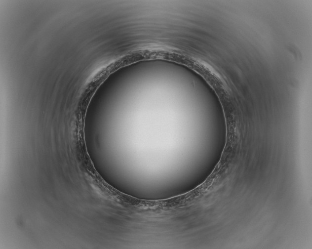 X0000112480775200908241253