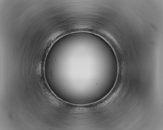 X0000112480777200908241253