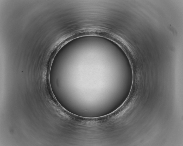 X0000112480778200908241253