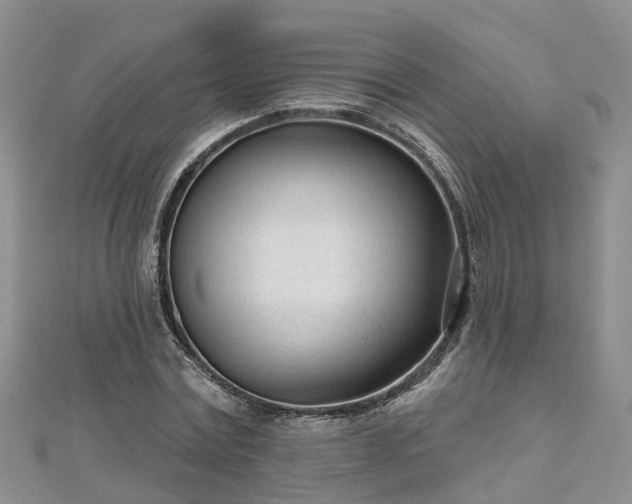 X0000112480779200908241253