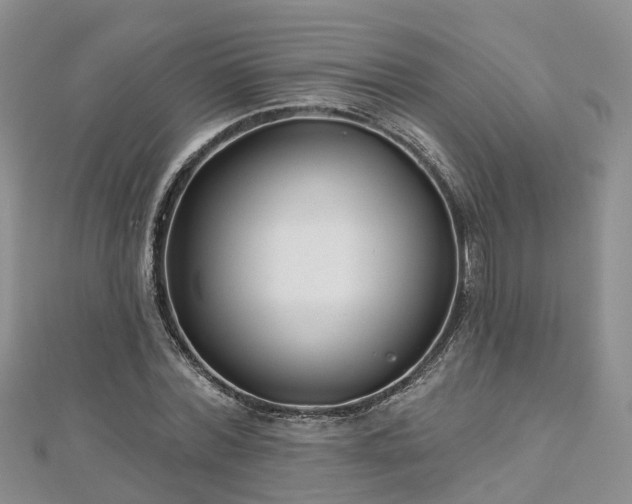 X0000112480780200908241253