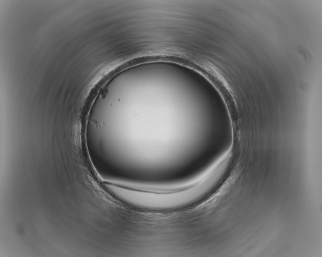 X0000112480781200908241253