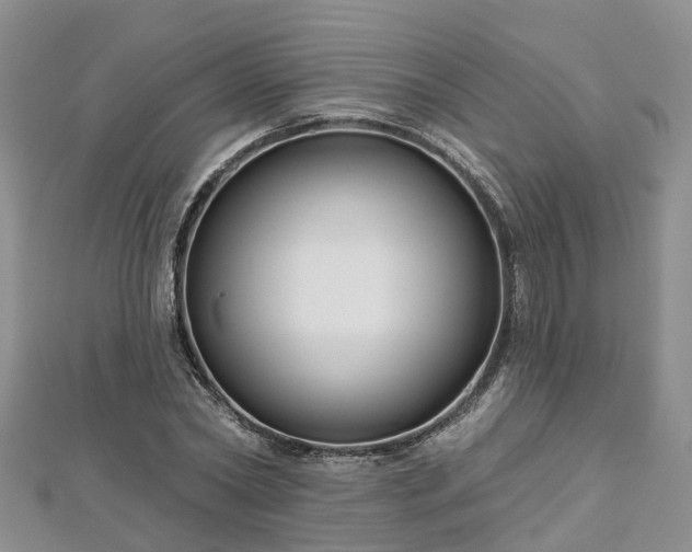 X0000112480782200908241253