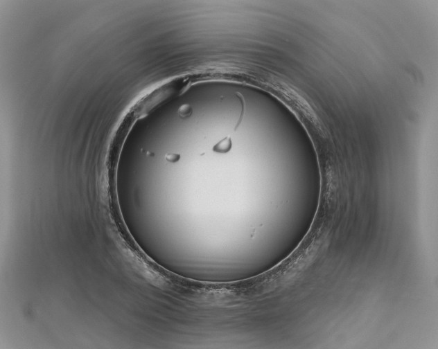 X0000112480784200908241253