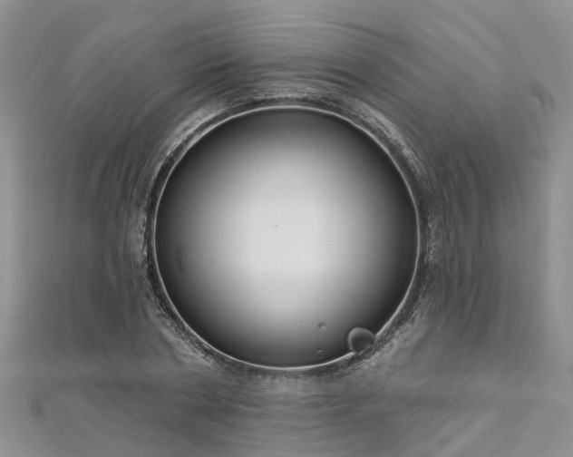 X0000112480786200908241253