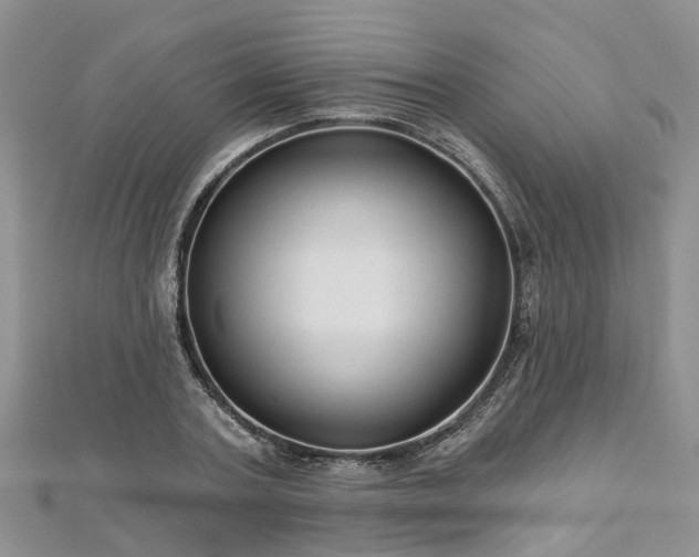 X0000112480787200908241253