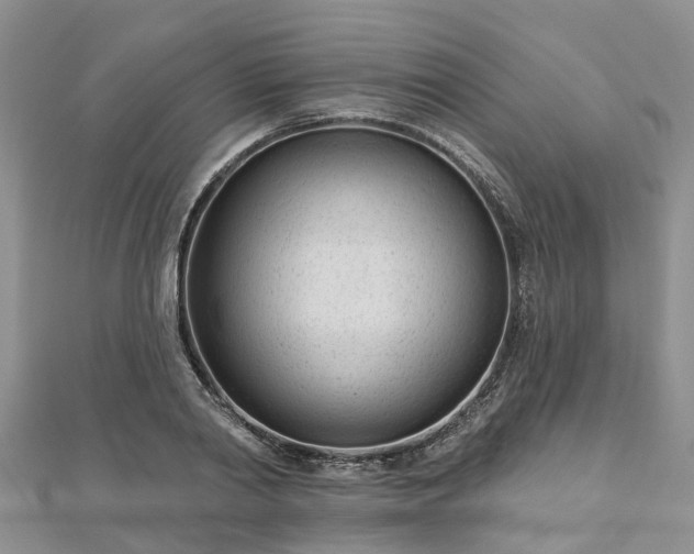 X0000112480790200908241253