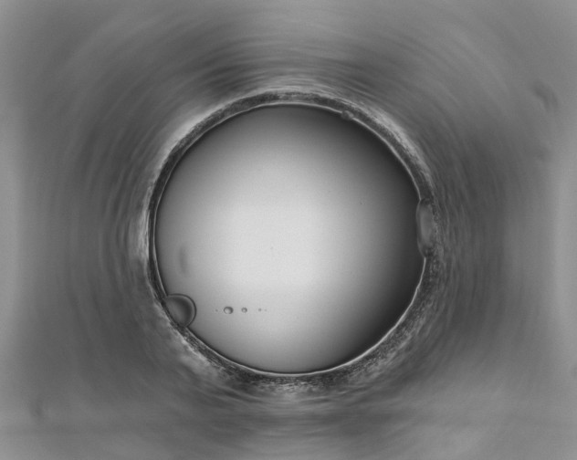X0000112480791200908241253