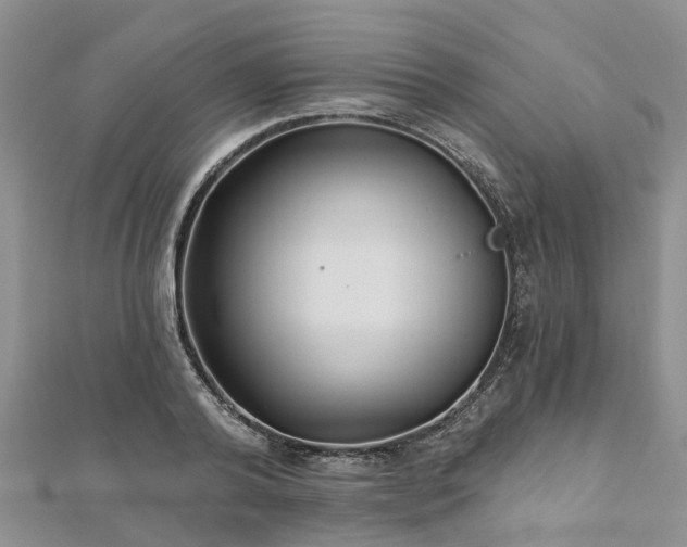 X0000112480792200908241253