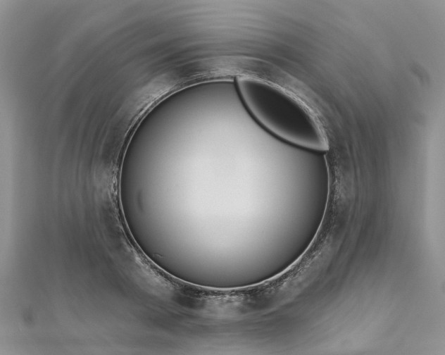 X0000112480793200908241253