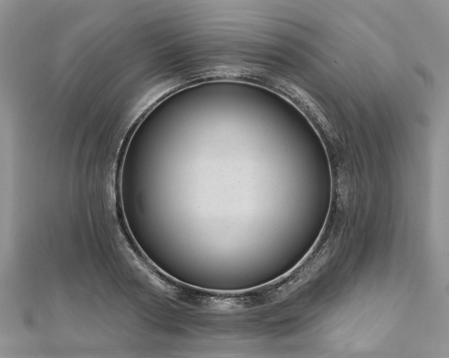 X0000112480794200908241253
