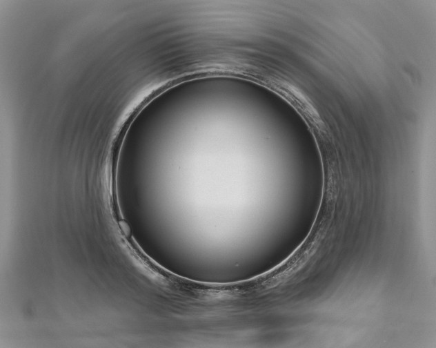 X0000112480796200908241253