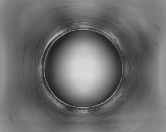 X0000112480798200908241253