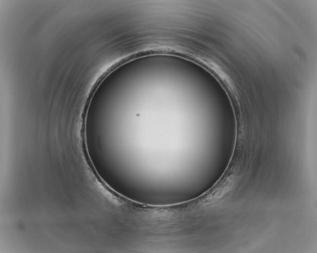X0000112480799200908241253