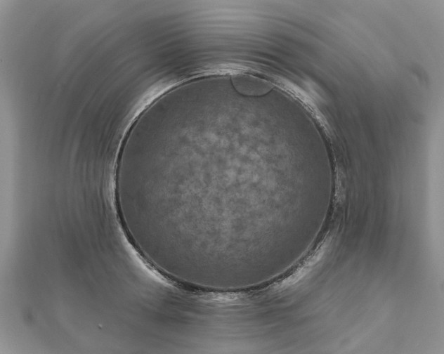 X0000112480802200908241253