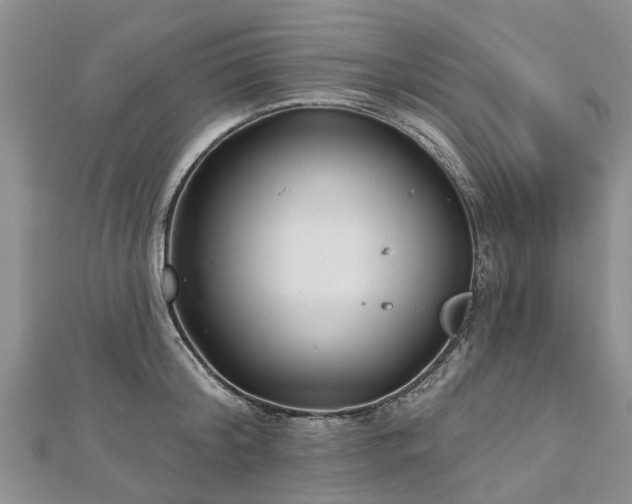 X0000112480804200908241253