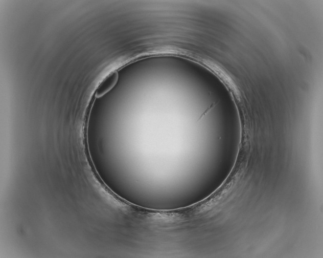 X0000112480805200908241253