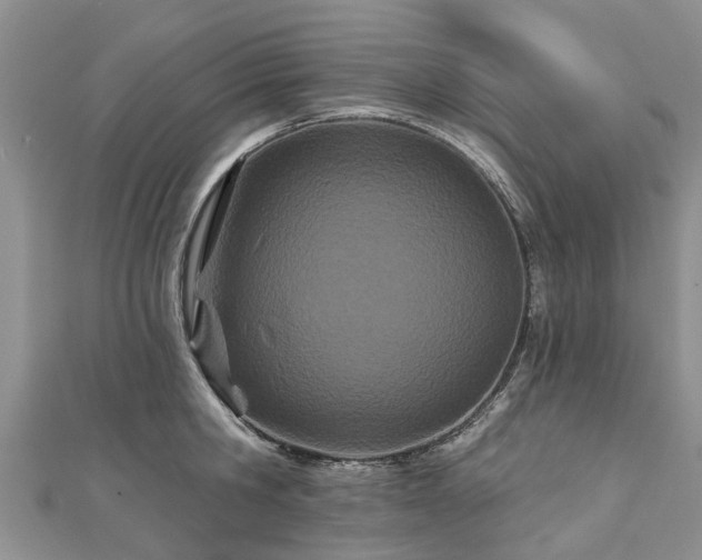 X0000112480806200908241253