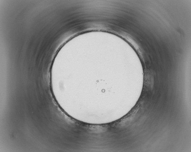 X0000112480807200908241253