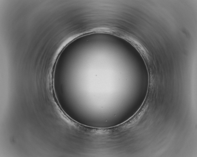 X0000112480808200908241253