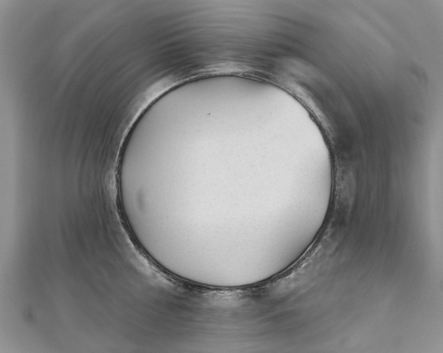 X0000112480810200908241253
