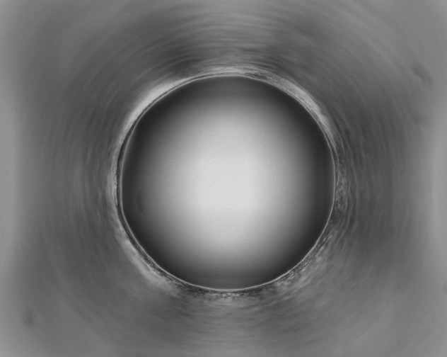 X0000112480811200908241253