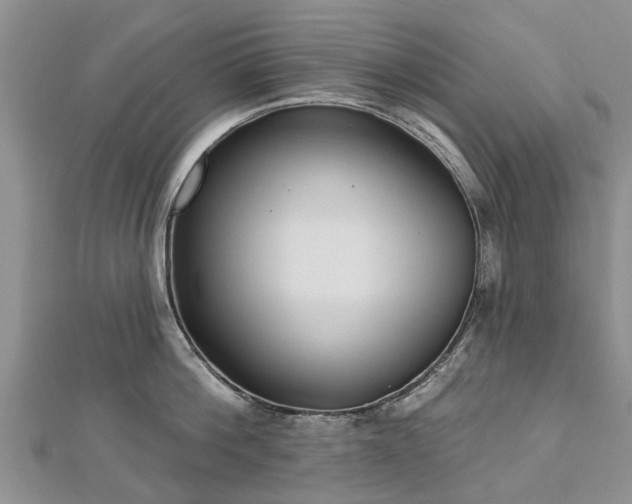 X0000112480812200908241253
