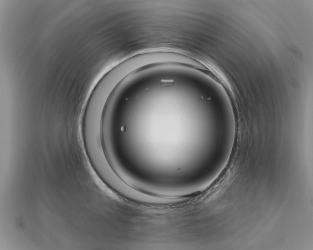 X0000112480813200908241253