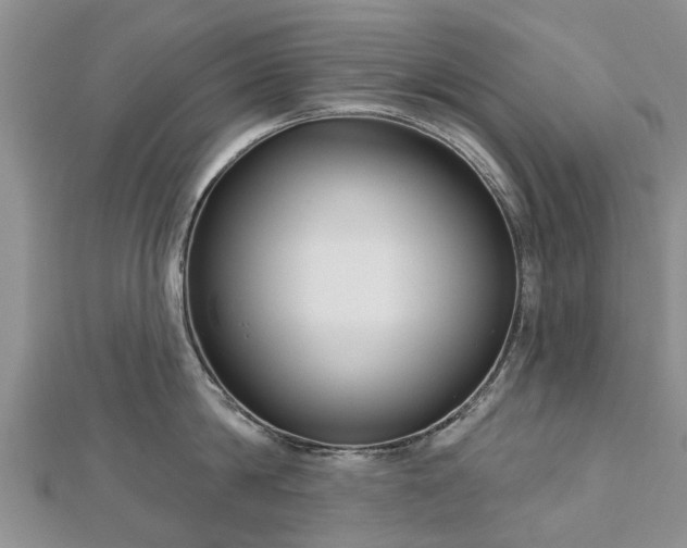 X0000112480814200908241253