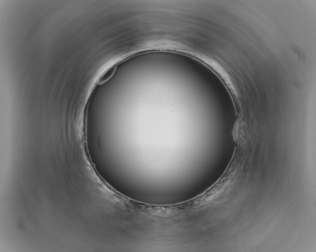 X0000112480815200908241253