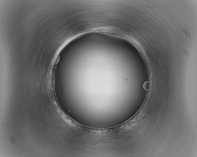 X0000112480816200908241253