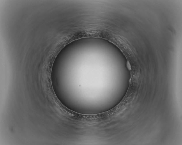 X0000112480817200908241252