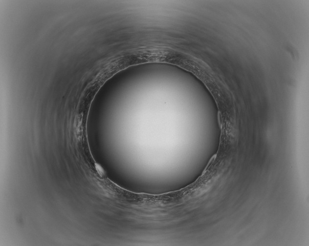 X0000112480818200908241252