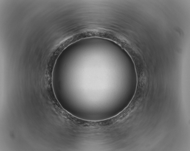 X0000112480822200908241252