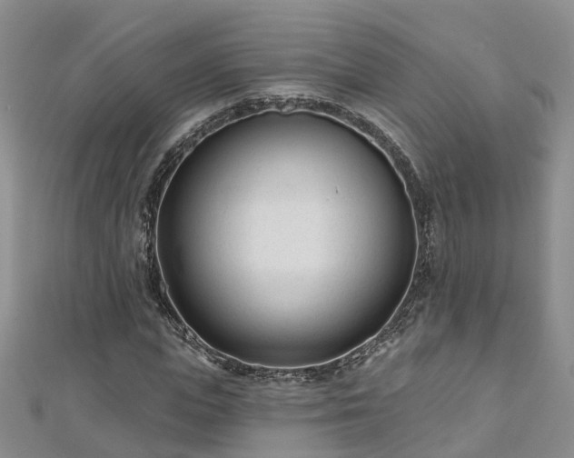 X0000112480823200908241252
