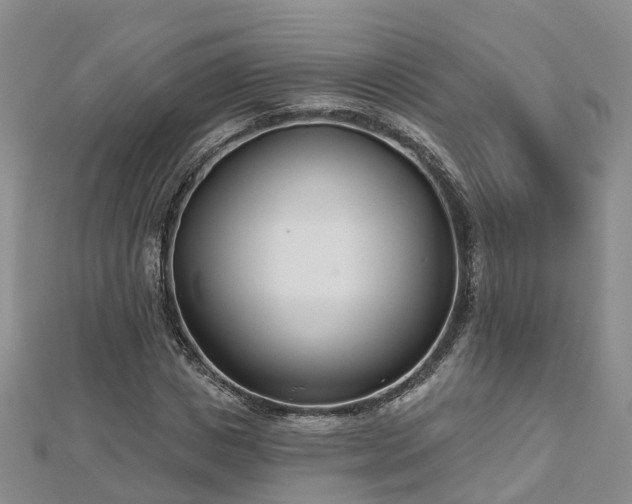 X0000112480825200908241252