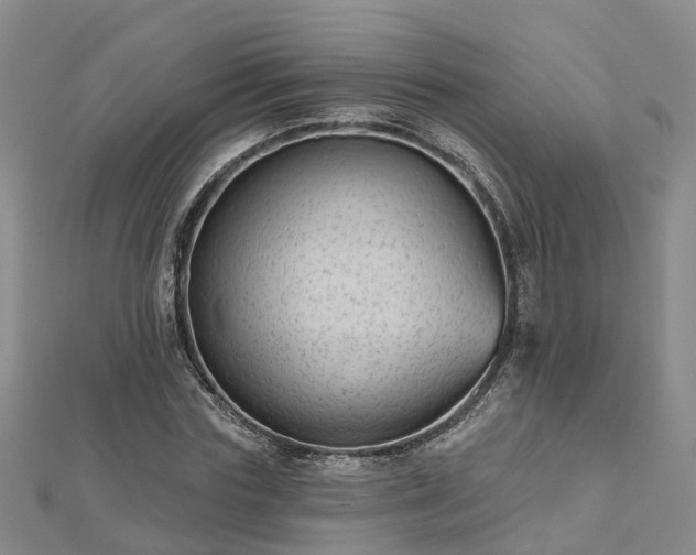 X0000112480827200908241252