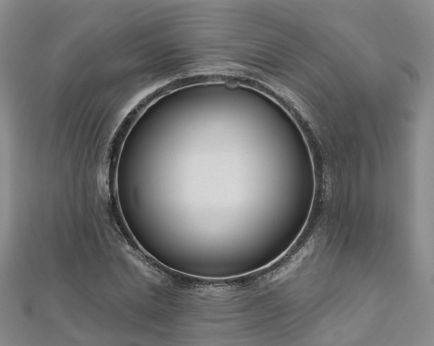 X0000112480830200908241252