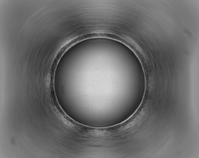 X0000112480831200908241253