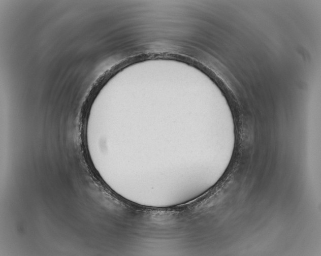X0000112480832200908241253